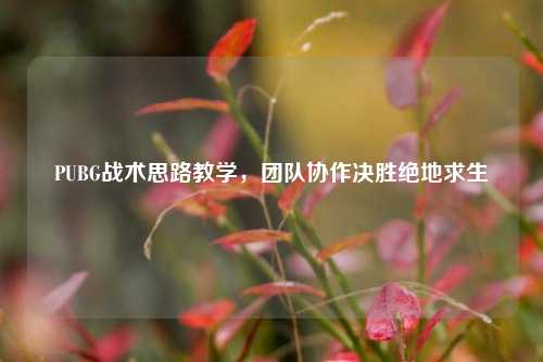 PUBG战术思路教学，团队协作决胜绝地求生