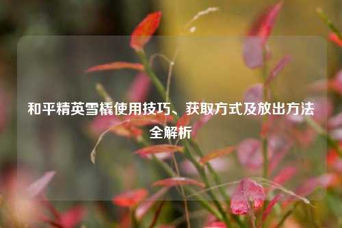 和平精英雪橇使用技巧、获取方式及放出 *** 全解析