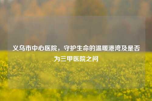义乌市中心医院,守护生命的温暖港湾及是否为三甲医院之问