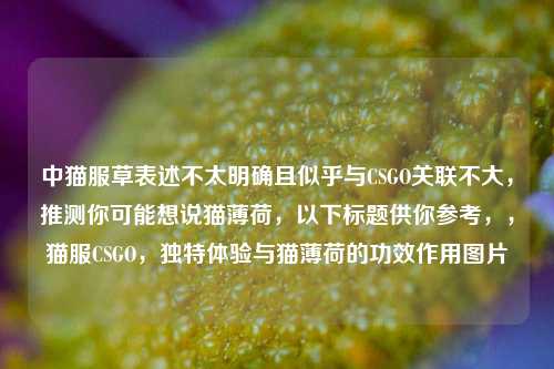 中猫服草表述不太明确且似乎与CSGO关联不大，推测你可能想说猫薄荷，以下标题供你参考，，猫服CSGO，独特体验与猫薄荷的功效作用图片