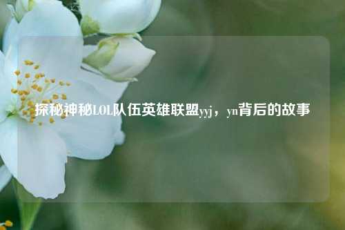 探秘神秘LOL队伍英雄联盟yyj，yn背后的故事