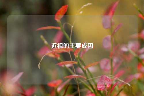 近视的主要成因