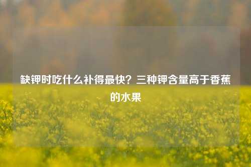 缺钾时吃什么补得最快?三种钾含量高于香蕉的水果