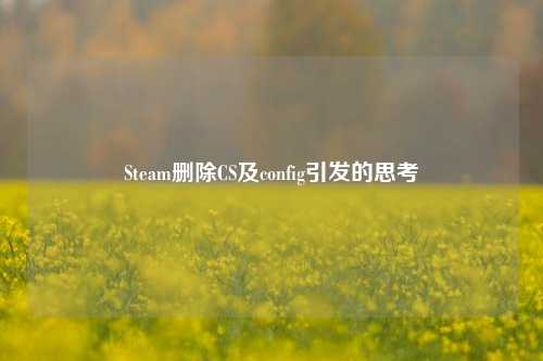 Steam删除CS及config引发的思考