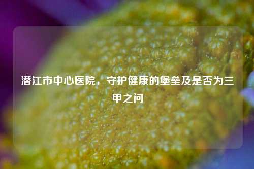 潜江市中心医院,守护健康的堡垒及是否为三甲之问