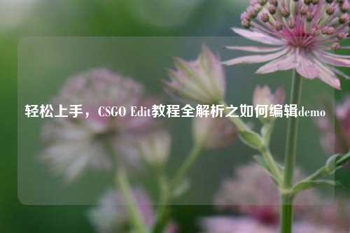 轻松上手,CSGO Edit教程全解析之如何编辑demo