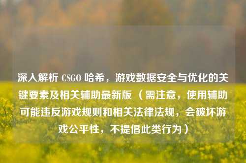 深入解析 CSGO 哈希,游戏数据安全与优化的关键要素及相关辅助最新版 (需注意,使用辅助可能违反游戏规则和相关法律法规,会破坏游戏公平性,不提倡此类行为)