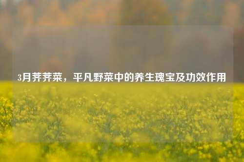 3月荠荠菜，平凡野菜中的养生瑰宝及功效作用