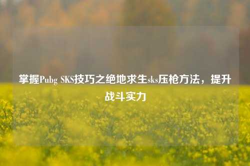 掌握Pubg SKS技巧之绝地求生sks压枪 *** ,提升战斗实力