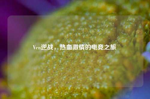 Ven逆战，热血***的电竞之旅