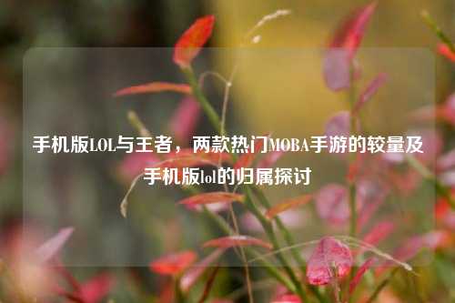 手机版LOL与王者,两款热门MOBA手游的较量及手机版lol的归属探讨