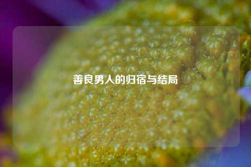 善良男人的归宿与结局