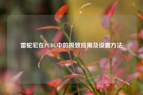 雷蛇宏在PUBG中的极致应用及设置 *** 