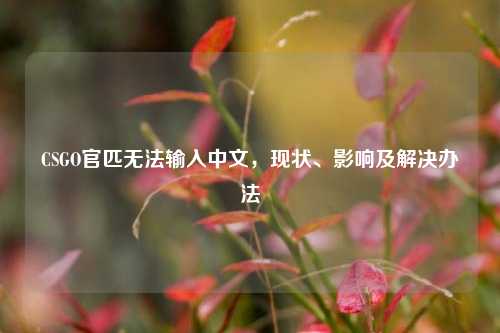 CSGO官匹无法输入中文,现状、影响及解决办法