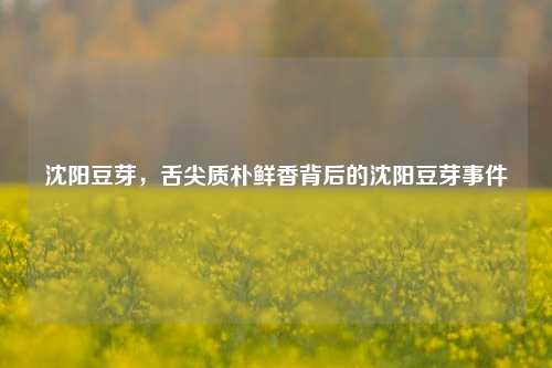 沈阳豆芽,舌尖质朴鲜香背后的沈阳豆芽事件