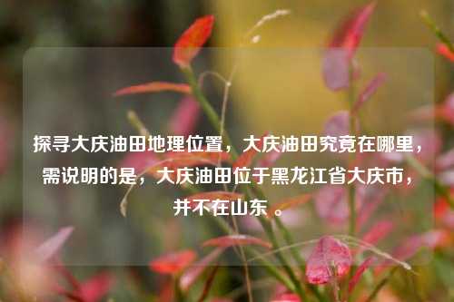 探寻大庆油田地理位置，大庆油田究竟在哪里，需说明的是，大庆油田位于黑龙江省大庆市，并不在山东 。