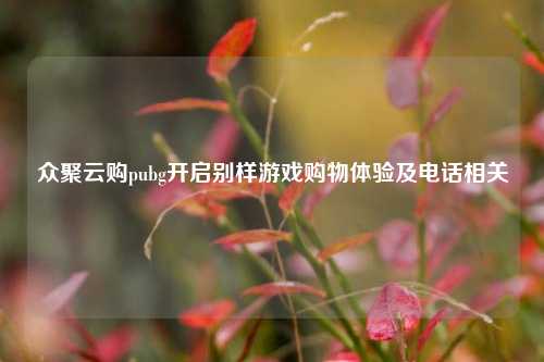 众聚云购pubg开启别样游戏购物体验及 *** 相关