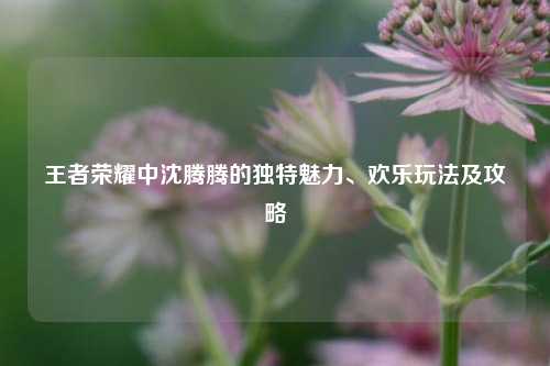 王者荣耀中沈腾腾的独特魅力、欢乐玩法及攻略