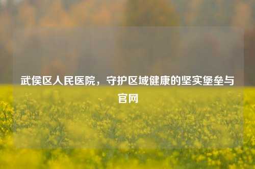 武侯区人民医院,守护区域健康的坚实堡垒与官网