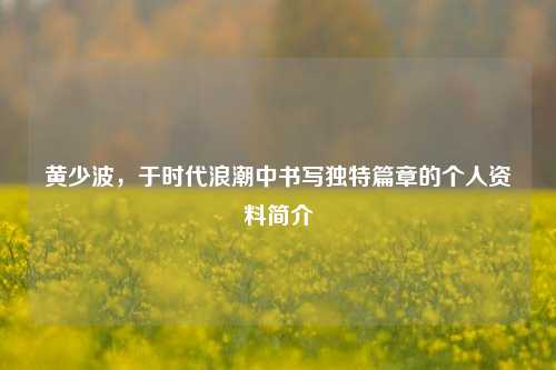 黄少波,于时代浪潮中书写独特篇章的个人资料简介