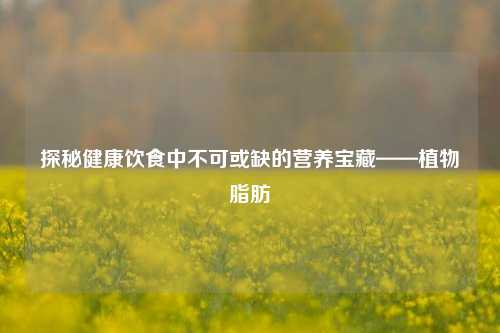 探秘健康饮食中不可或缺的营养宝藏——植物脂肪