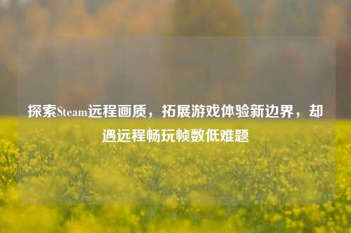 探索Steam远程画质，拓展游戏体验新边界，却遇远程畅玩帧数低难题