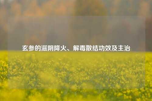 玄参的滋阴降火、解毒散结功效及主治