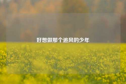 好想做那个追风的少年