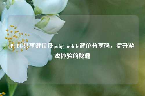 PUBG共享键位及pubg mobile键位分享码，提升游戏体验的秘籍