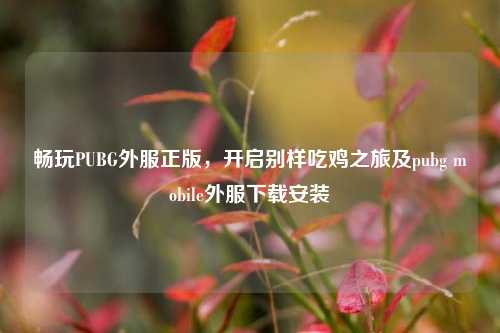 畅玩PUBG外服正版，开启别样吃鸡之旅及pubg mobile外服下载安装