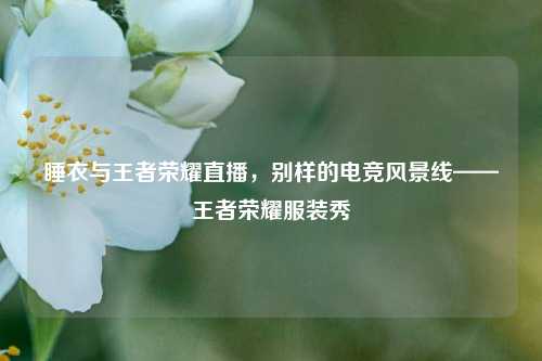 睡衣与王者荣耀直播，别样的电竞风景线——王者荣耀服装秀