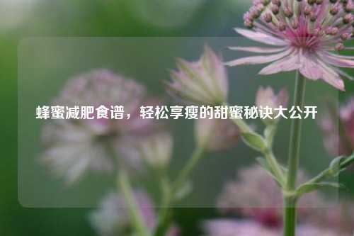 蜂蜜减肥食谱,轻松享瘦的甜蜜秘诀大公开