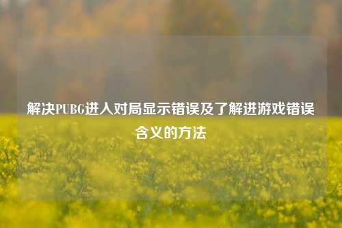 解决PUBG进入对局显示错误及了解进游戏错误含义的 ***