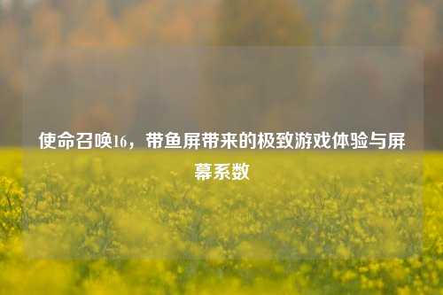 使命召唤16,带鱼屏带来的极致游戏体验与屏幕系数