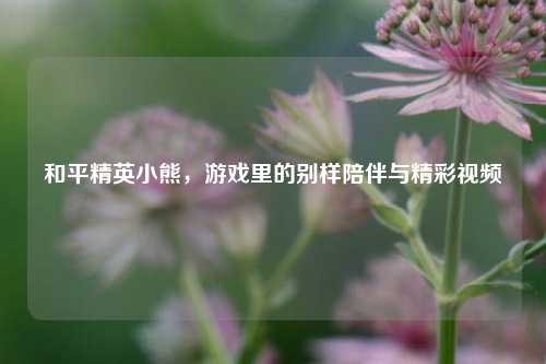 和平精英小熊，游戏里的别样陪伴与精彩视频
