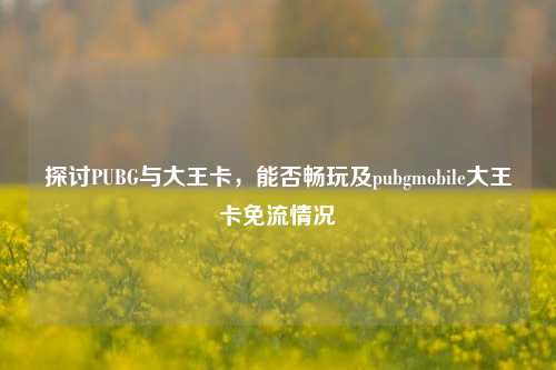 探讨PUBG与大王卡,能否畅玩及pubgmobile大王卡免流情况