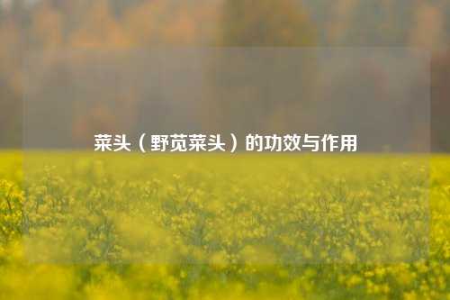 菜头(野苋菜头)的功效与作用