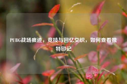 PUBG战场痕迹,竞技与回忆交织,如何查看独特印记