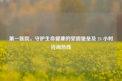 之一医院,守护生命健康的坚固堡垒及 24 小时咨询热线