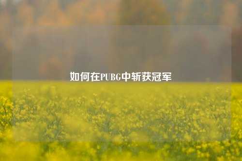 如何在PUBG中斩获冠军