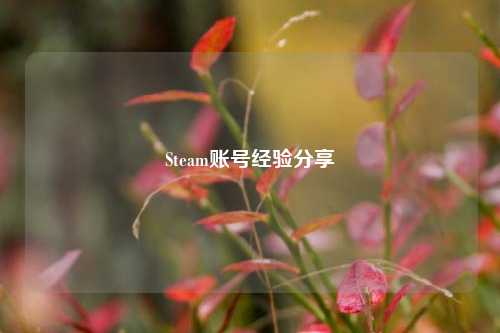 Steam账号经验分享