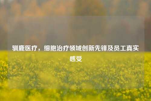 驯鹿医疗,细胞治疗领域创新先锋及员工真实感受