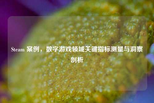 Steam 案例,数字游戏领域关键指标测量与洞察剖析