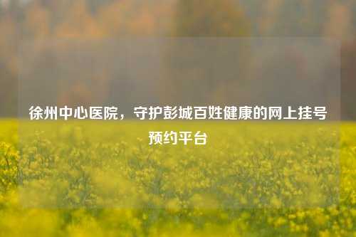 徐州中心医院，守护彭城百姓健康的网上挂号预约平台