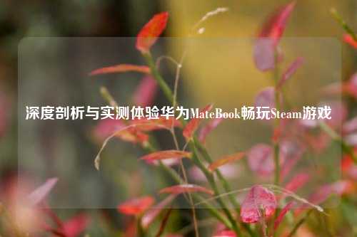 深度剖析与实测体验华为MateBook畅玩Steam游戏