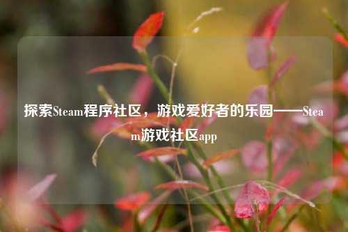 探索Steam程序社区，游戏爱好者的乐园——Steam游戏社区app