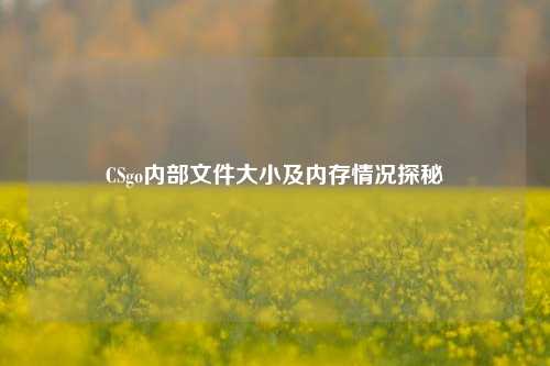 CSgo内部文件大小及内存情况探秘
