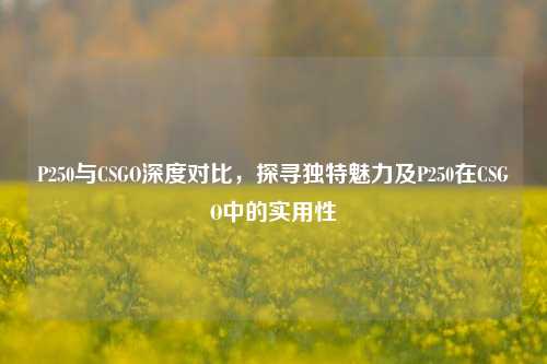 P250与CSGO深度对比，探寻独特魅力及P250在CSGO中的实用性