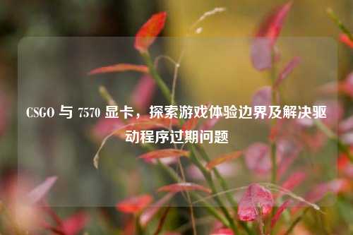 CSGO 与 7570 显卡,探索游戏体验边界及解决驱动程序过期问题