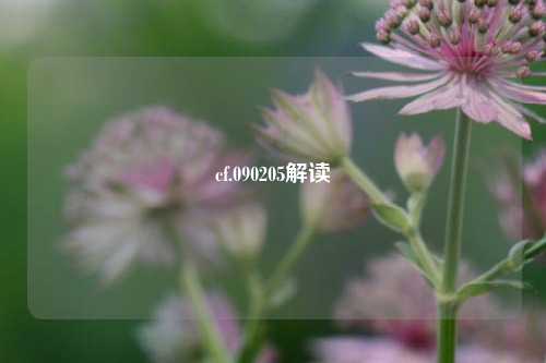 cf.090205解读